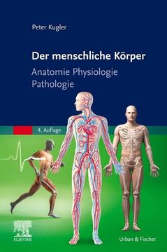 portada Der Menschliche Körper (in German)