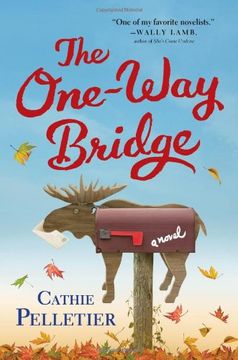 portada The One-Way Bridge: A Novel (in English)