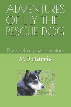 portada Adventures of Lily the Rescue Dog: The pool rescue adventure (en Inglés)