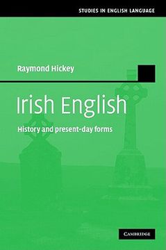 portada Irish English Hardback: History and Present-Day Forms (Studies in English Language) 
