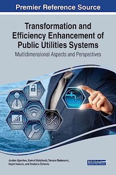 portada Transformation and Efficiency Enhancement of Public Utilities Systems: Multidimensional Aspects and Perspectives (en Inglés)