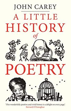 portada Little History of Poetry (Little Histories) (in English)