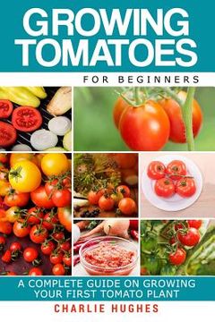 portada Growing Tomatoes for Beginners: A Complete Guide on Growing Your First Tomato Plant (in English)