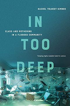portada In too Deep: Class and Mothering in a Flooded Community (in English)