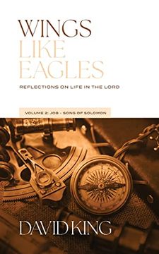 portada Wings Like Eagles Vol. 2: Vol. 2: Reflections on Life in the Lord - Volume 2 (en Inglés)