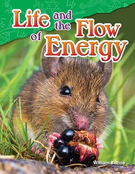 portada Teacher Created Materials - Science Readers: Content and Literacy: Life and the Flow of Energy - Grade 5 - Guided Reading Level r (in English)
