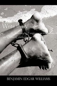 portada write the vision: a journey to forgiveness in poems and other celebrations (en Inglés)