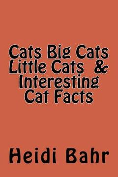 portada Cats Big Cats Little Cats & Interesting Cat Facts: Cats Big Cats Little Cats & Interesting Cat Facts (en Inglés)