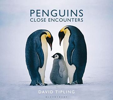 portada Penguins (in English)