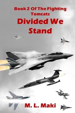 portada Divided We Stand (in English)