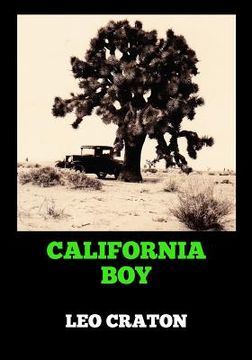 portada california boy (in English)