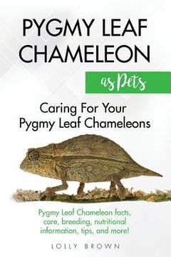 portada Pygmy Leaf Chameleons as Pets: Pygmy Leaf facts, care, breeding, nutritional information, tips, and more! Caring For Your Pygmy Leaf Chameleons (en Inglés)