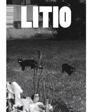 portada Litio (in Spanish)