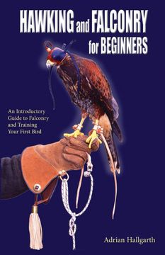 portada Hawking & Falconry for Begginers (en Inglés)