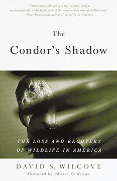 portada The Condor's Shadow: The Loss and Recovery of Wildlife in America (en Inglés)