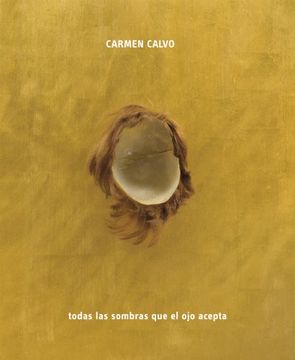 portada Carmen Calvo: All the Shadows the Eye Can Take [Paperback] [May 15, 2014] La Fabrica