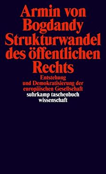 portada Strukturwandel des Öffentlichen Rechts. (in German)