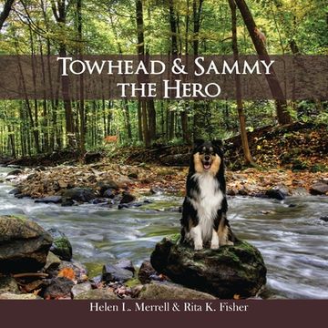 portada Towhead and Sammy The Hero