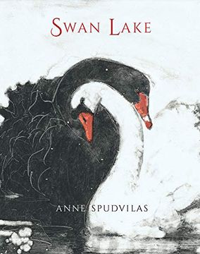 portada Swan Lake (en Inglés)