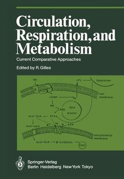 portada circulation, respiration, and metabolism: current comparative approaches (en Inglés)