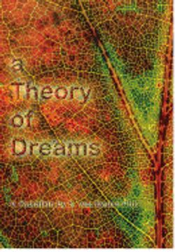 portada A Theory of Dreams (en Inglés)