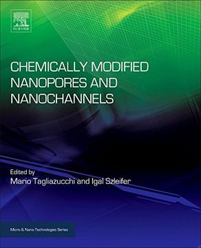 portada Chemically Modified Nanopores and Nanochannels 