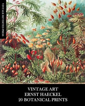 portada Vintage Art: Ernst Haeckel: 20 Botanical Prints: Flora and Fauna Ephemera for Framing, Collage and Decoupage (en Inglés)