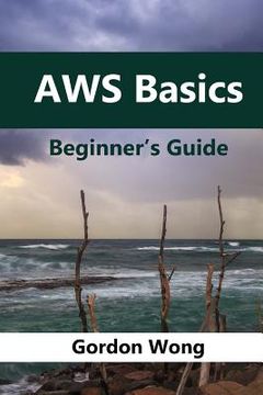 portada AWS Basics: Beginners Guide (in English)