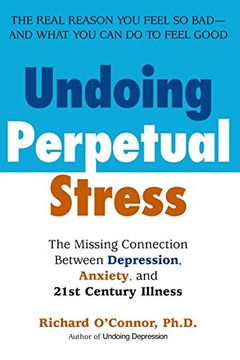 portada Undoing Perpetual Stress: The Missing Connection Between Depression, Anxiety and 21Stcentury Illness (in English)