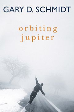 portada Orbiting Jupiter 