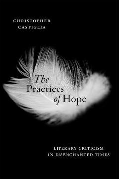 portada The Practices of Hope: Literary Criticism in Disenchanted Times