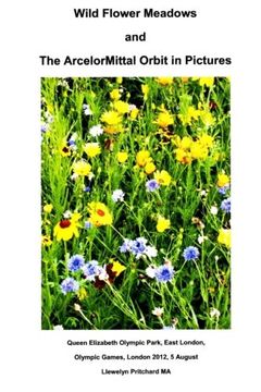 portada Wild Flower Meadows and The ArcelorMittal Orbit in Pictures (Fotoalben) (German Edition)