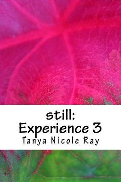 portada still: Experience 3 (en Inglés)