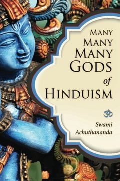 portada Many Many Many Gods of Hinduism: Turning believers into non-believers and non-believers into believers (en Inglés)