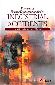 portada Principles of Forensic Engineering Applied to Industrial Accidents (in English)