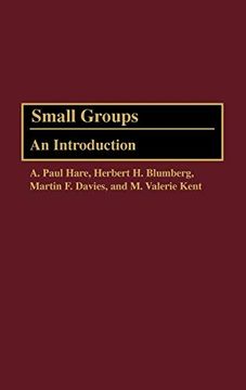portada Small Groups: An Introduction (en Inglés)