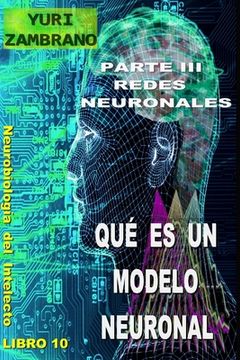 portada Qué Es Un Modelo Neuronal (in Spanish)