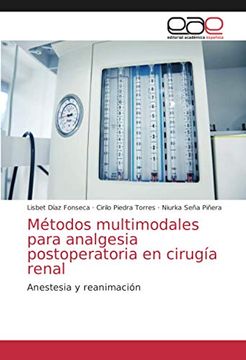 portada Métodos Multimodales Para Analgesia Postoperatoria en Cirugía Renal: Anestesia y Reanimación (in Spanish)