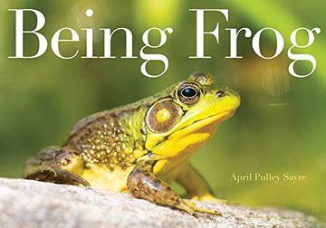 portada Being Frog 