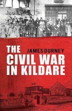 portada The Civil War in Kildare (en Inglés)