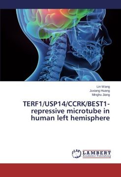 portada TERF1/USP14/CCRK/BEST1-repressive microtube in human left hemisphere