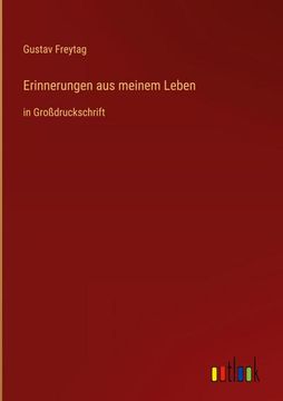 portada Erinnerungen aus meinem Leben: in Großdruckschrift (en Alemán)