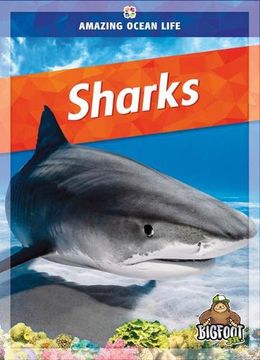 portada Sharks (Amazing Ocean Life) (in English)