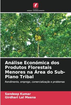 portada Análise Económica dos Produtos Florestais Menores na Área do Sub-Plano Tribal