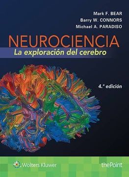 portada Neurociencia: La Exploracion del Cerebro (4ª ed)