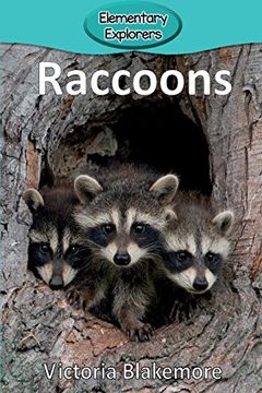 portada Raccoons (Elementary Explorers) (en Inglés)