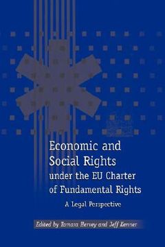 portada economic and social rights under the eu charter of fundamental rights: a legal perspective (en Inglés)