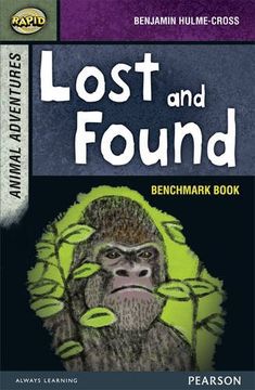 portada Rapid Stage 7 Assessment Book: Lost and Found (Rapid Upper Levels) (en Inglés)