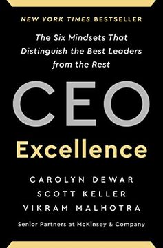 portada Ceo Excellence: The six Mindsets That Distinguish the Best Leaders From the Rest (in English)