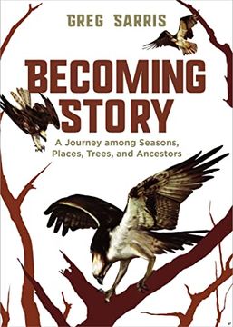 portada Becoming Story: A Journey Among Seasons, Places, Trees, and Ancestors (en Inglés)